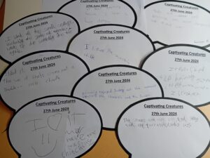 pupils have written down their experiences of captivation creatures visit